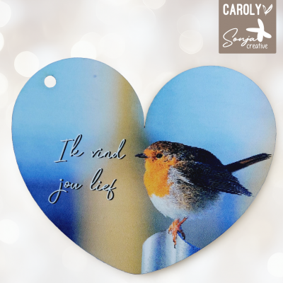 Ik vind jou lief - roodborstje