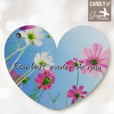 Een hart onder de riem - lente