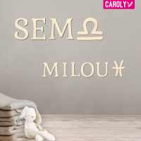 Houten sterrenbeelden