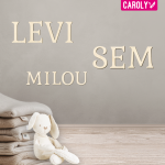 Houten letters classic